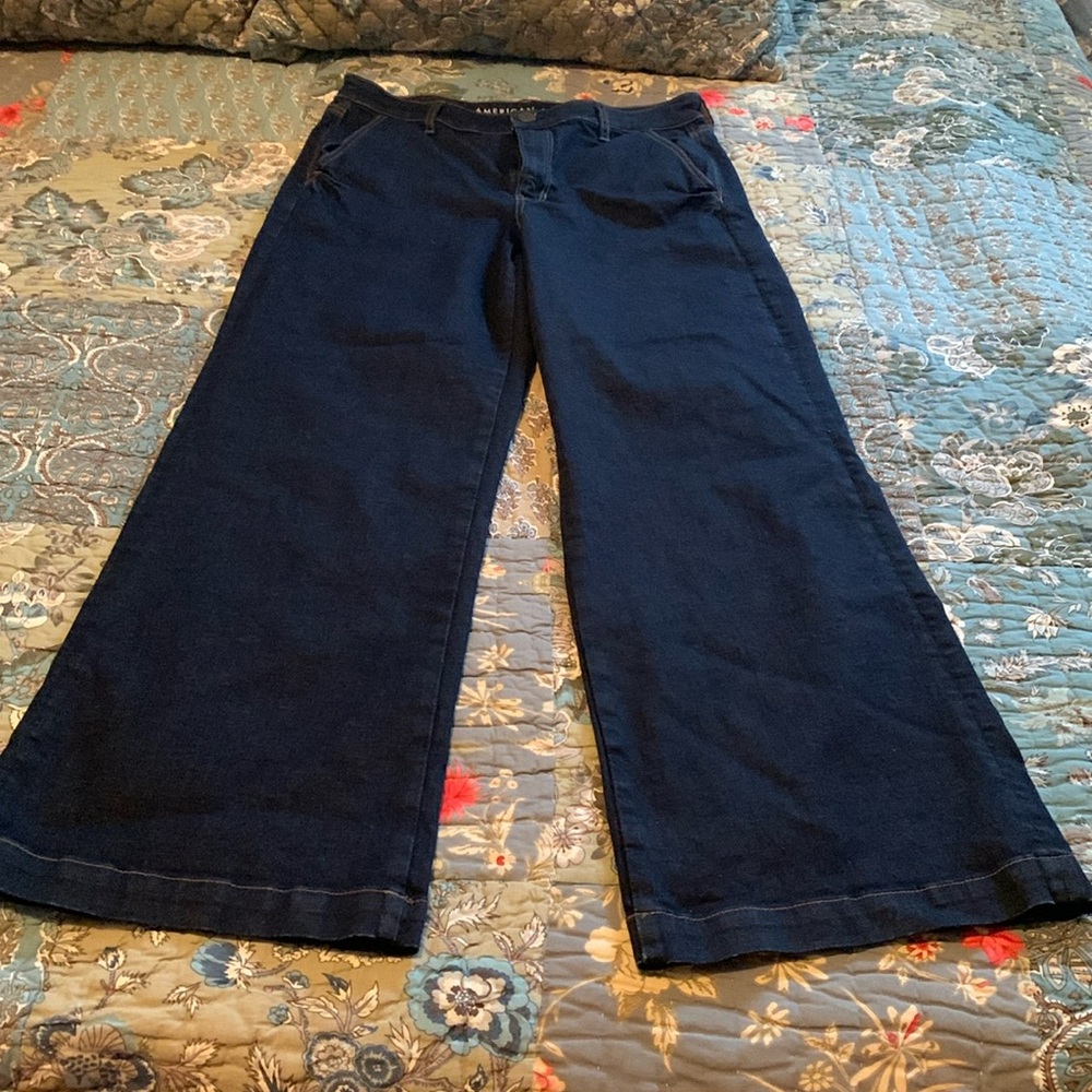 American Eagle Wide Leg Jeans size 12 reg, dark wash